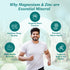 Fytika Magnesium + Zinc Tablets