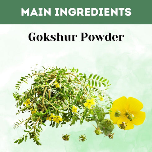 Herbal Hills Ayurveda Gokshur Powder