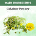 Herbal Hills Ayurveda Gokshur Powder