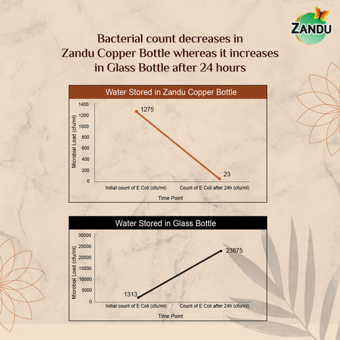 Zandu Copper Water Bottle|950ml