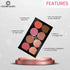 Colors Queen Ultra Professional Blush Palette | 20 Gram
