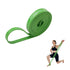 Wiselife HQ TPE Resistance Power Band