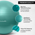 Wiselife Gym Ball