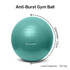 Wiselife Gym Ball