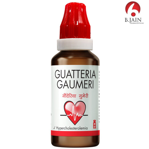 Bjain Guatteria Gaumeri Drops