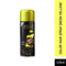 Shills Professional Color Hair Spray