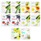 Mirabelle Korea Healing Skin Facial Sheet Mask Pack Of 10