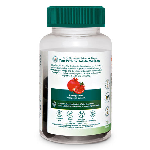 Himalaya Healthy Gut Probiotic Gummies