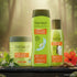 Vasuestore Trichup Hair Fall Control Oil,Shampoo,Mask
