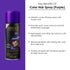 Shills Professional Color Hair Spray