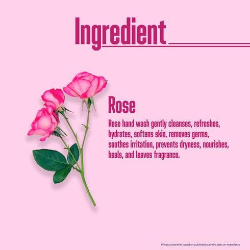 Multani Pharmaceuticals Limited Multani Naturals Rose Hand Wash Clean Hands Refreshing feel with the soothing fragrance of Rose 99 9 Germ Protection