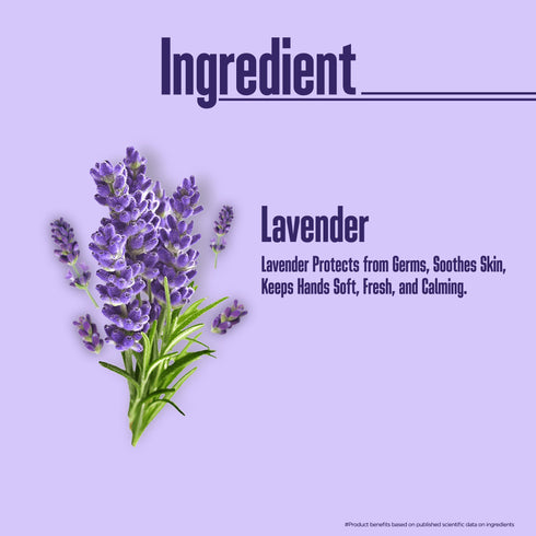 Multani Pharmaceuticals Limited Multani Naturals Lavender Hand Wash Gentle Hand Cleanser with Natural Ingredients Germ Protection Liquid Hand Wash