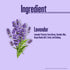 Multani Pharmaceuticals Limited Multani Naturals Lavender Hand Wash Gentle Hand Cleanser with Natural Ingredients Germ Protection Liquid Hand Wash