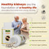 Jeena Sikho Stoni Capsules Ayurvedic Kidney Stone Care and Urinary Support