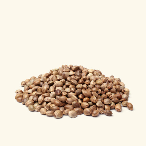 Hemp Seed Oil 100g