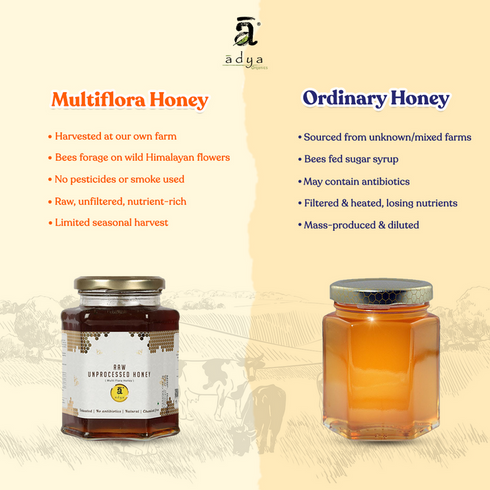 Adya Multi Flora Raw Honey