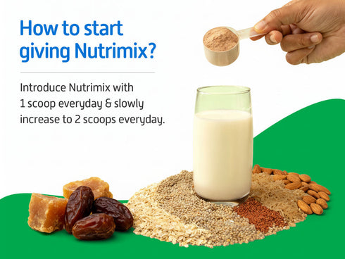 Little Joys Nutrimix Powder (7-12 yrs)