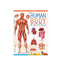 Human Body Minipedia (English)