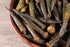 Neelam Foodland Vacuum Fried Masala Okra Chips