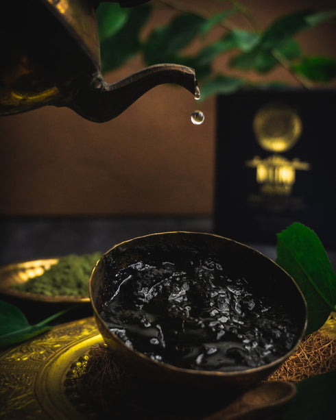 Shesha Ayurveda Nilini Ayurvedic Hair Color Kit - Natural Black