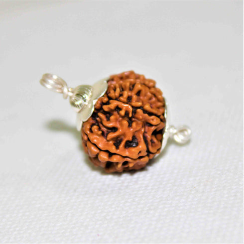 Natural Rudraksha With Silver Plated Capping Lab Tested