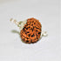 Natural Rudraksha With Silver Plated Capping Lab Tested