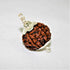 Natural Rudraksha With Silver Plated Capping Lab Tested