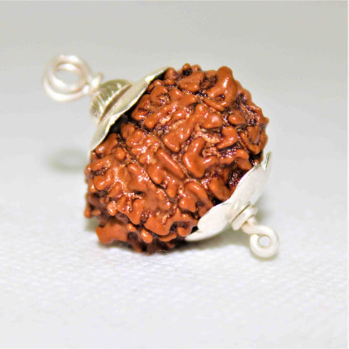 Natural Rudraksha With Silver Plated Capping Lab Tested