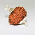 Natural Rudraksha With Silver Plated Capping Lab Tested
