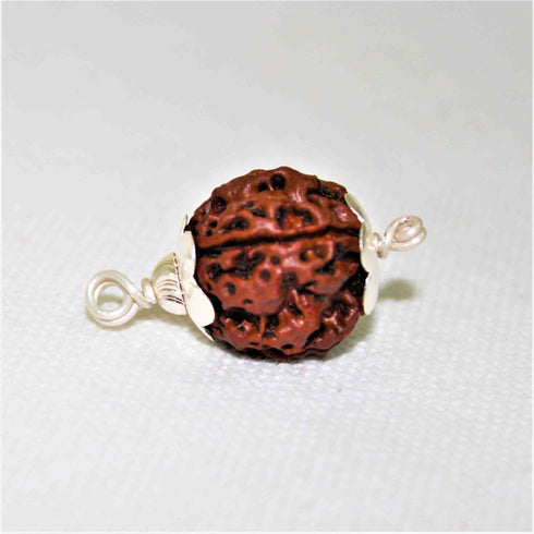 Natural Rudraksha With Silver Plated Capping Lab Tested