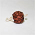 Natural Rudraksha With Silver Plated Capping Lab Tested