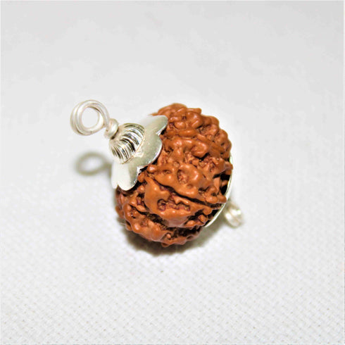 Natural Rudraksha With Silver Plated Capping Lab Tested