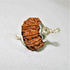 Natural Rudraksha With Silver Plated Capping Lab Tested