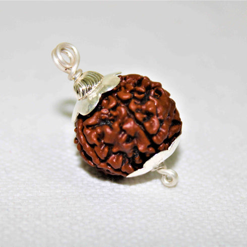 Natural Rudraksha With Silver Plated Capping Lab Tested