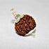 Natural Rudraksha With Silver Plated Capping Lab Tested