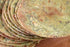 Neelam Foodland Whole Wheat Palak Khakhra Mini