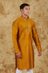 Veshbhoshaa Bluesaanchi Royal Elegance Bronze Handloom Embroidery Kurta Set