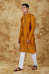 Veshbhoshaa Bluesaanchi Royal Elegance Bronze Handloom Embroidery Kurta Set