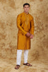 Veshbhoshaa Bluesaanchi Royal Elegance Bronze Handloom Embroidery Kurta Set