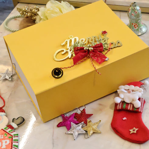 Healthy Master Christmas Treat Boxes