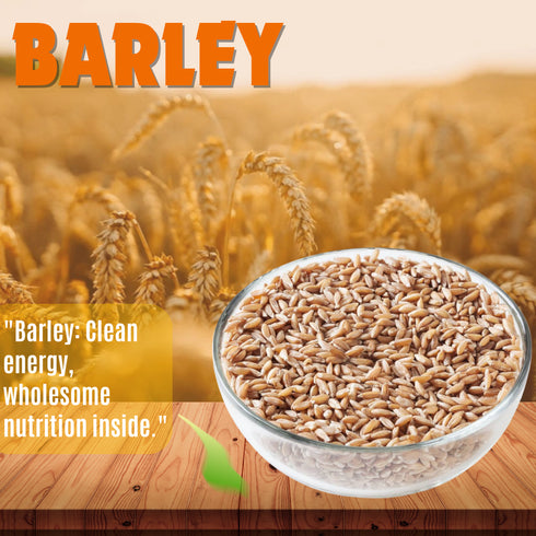 Millet Mania Barley