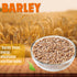 Millet Mania Barley