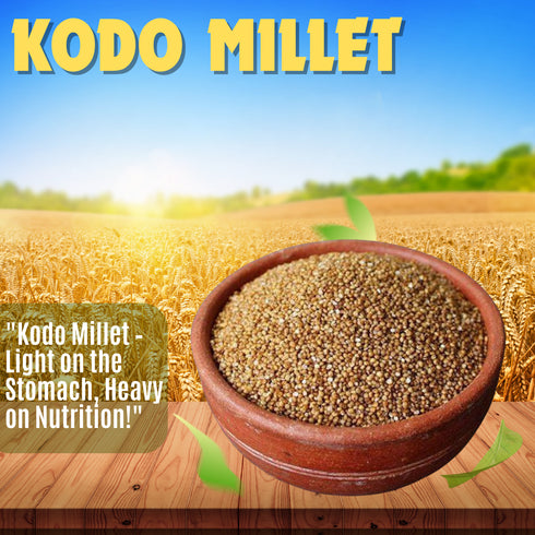 Millet Mania Kodo Millet