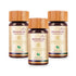 Biogetica Reginmune |Micro Nutrients- Immune Support