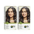 Naturtint 4G Golden Chestnut Permanent Hair Colour