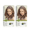 Naturtint 6G Dark Golden Blonde Permanent Hair Colour