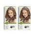 Naturtint 6G Dark Golden Blonde Permanent Hair Colour