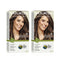 Naturtint 5G Light Golden Chestnut Permanent Hair Colour