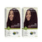 Naturtint 3NV Deep Radiant Red Permanent Hair Colour