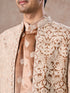 Manyavar Fawn Velvet Festivity Indo Western